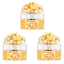 Collagen & Hyaluronic Acid Serum Capsules