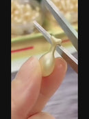 Collagen & Hyaluronic Acid Serum Capsules